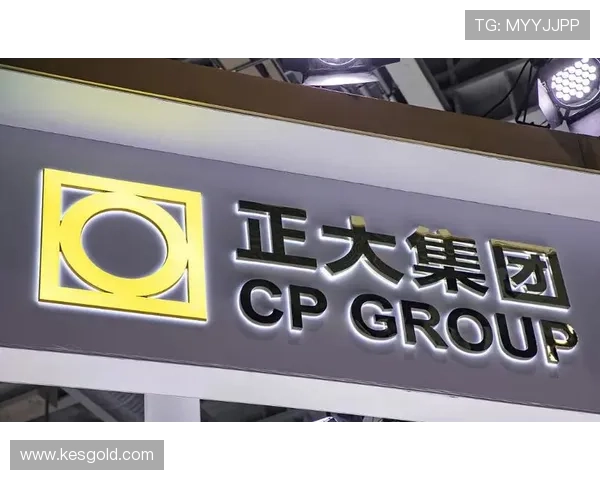 欧博会员登录网站入口故障排查指南，快速解决登录时遇到的各种技术问题